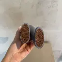 the visitor gardeco design decoratie loncin