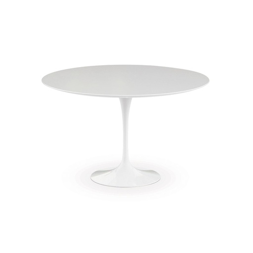 [9034] Saarinen Tulip tafel (outdoor)
